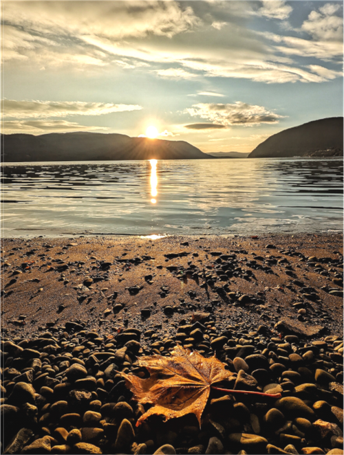 Main image Fall Leaf on Plum Point Park beach